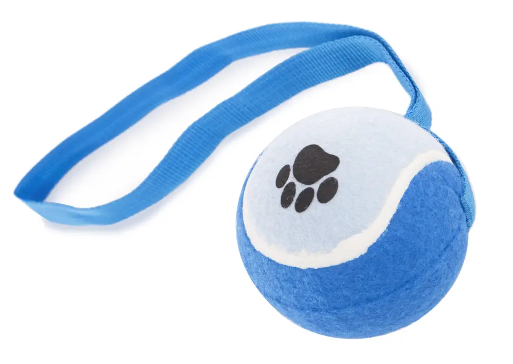 Certifié Balle de Tennis avec Sangle pour Chien
