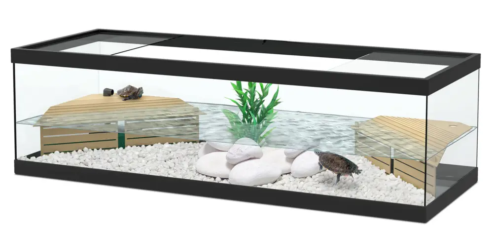 Aquatlantis – Aquaterrarium Tortum avec Filtre – 100cm Quantité Limitée