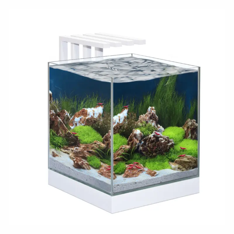 Solde Ciano – Aquarium – Nexus Design &Eacute;quip&eacute; de LED + Filtre