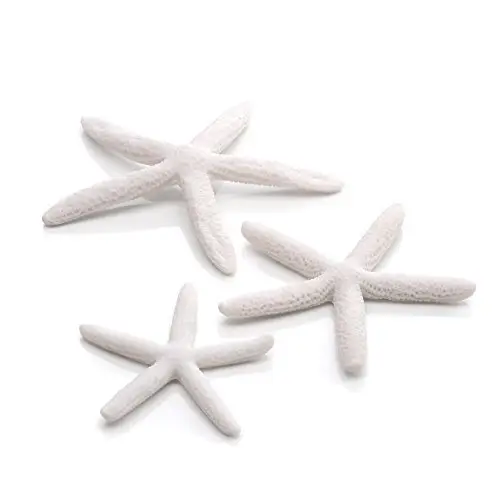 Oase – Lot de D&eacute;cor &Eacute;toiles de Mer Blanc pour Aquarium BiOrb – x3 Promotion