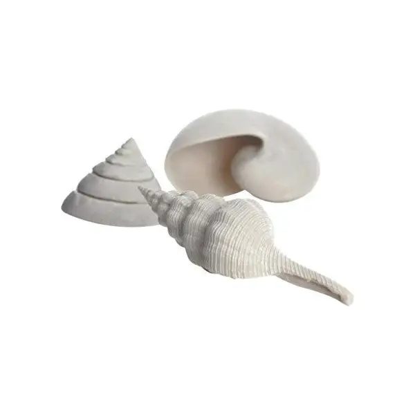 Top Vente Oase - Lot de Décor Coquillages Blanc pour Aquarium BiOrb - x3