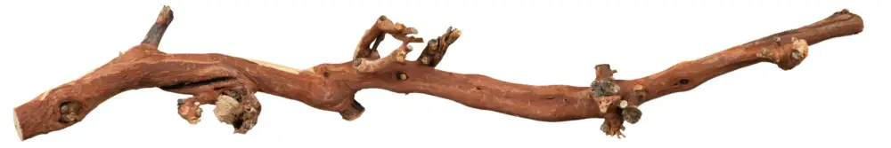 Meilleure Vente Trixie - Branche Pied de Vigne Naturelle pour Terrarium - L