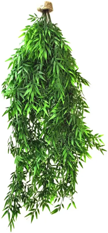 Labeo – Suspension Bambou Plante Artificielle Terrarium Commander Vite