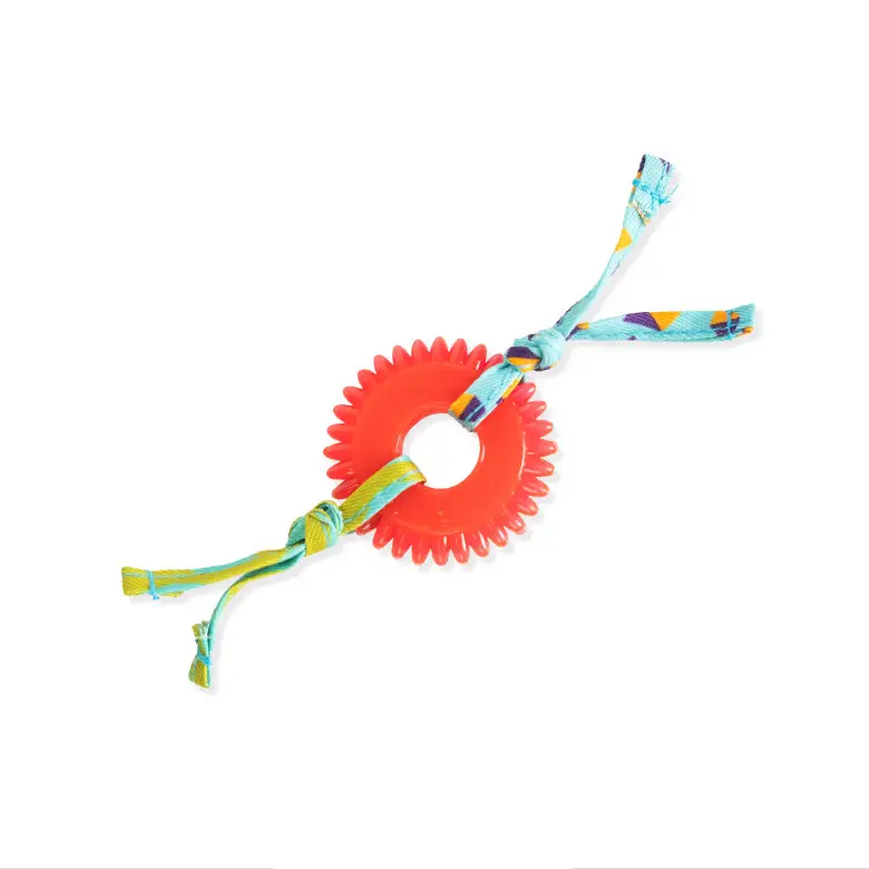 Outward Hound - Jouet à Mâcher Kitty Chew Wheel pour Chats Offre Exclusive