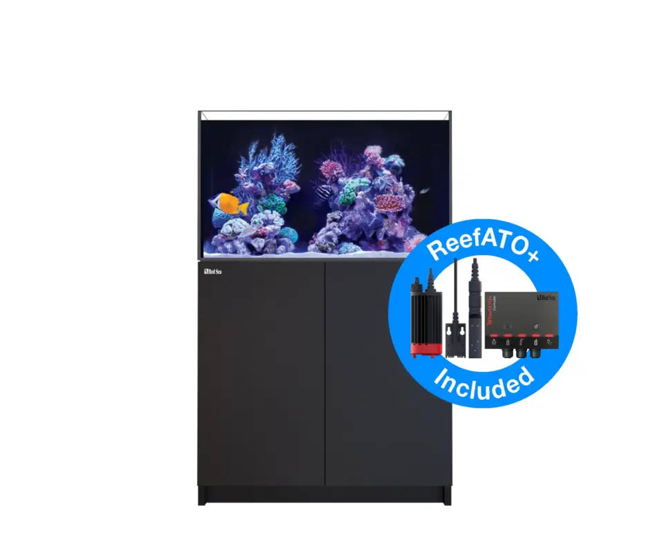 Expédition Rapide Red Sea - REEFER - 250 G2+ NOIR