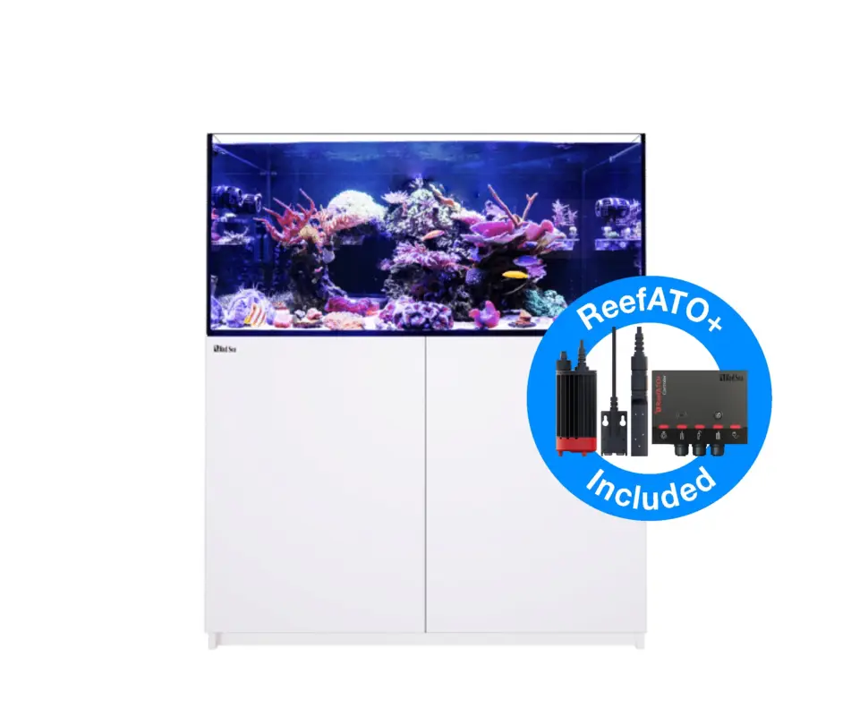 Red Sea - REEFER - 350 G2+ BLANC Vente Flash
