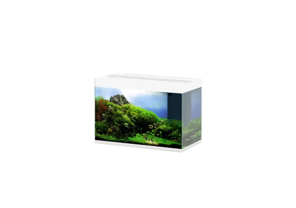 Pas Cher Ciano – Aquarium Emotions Nature Pro 80 – Blanc