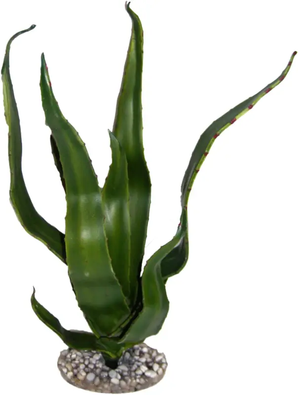 Labeo – D&eacute;cor herbe Plante Artificielle Terrarium Produit De Marque