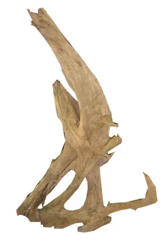 Aquavie – D&eacute;coration Racine Malaisie pour Aquarium – S/M Meilleure Vente