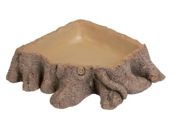 Hobby - Abreuvoir Stump pour Terrarium - T2 Retour Gratuit