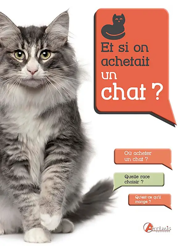 Dernière Chance Art&eacute;mis – Et si on achetait un chat ?