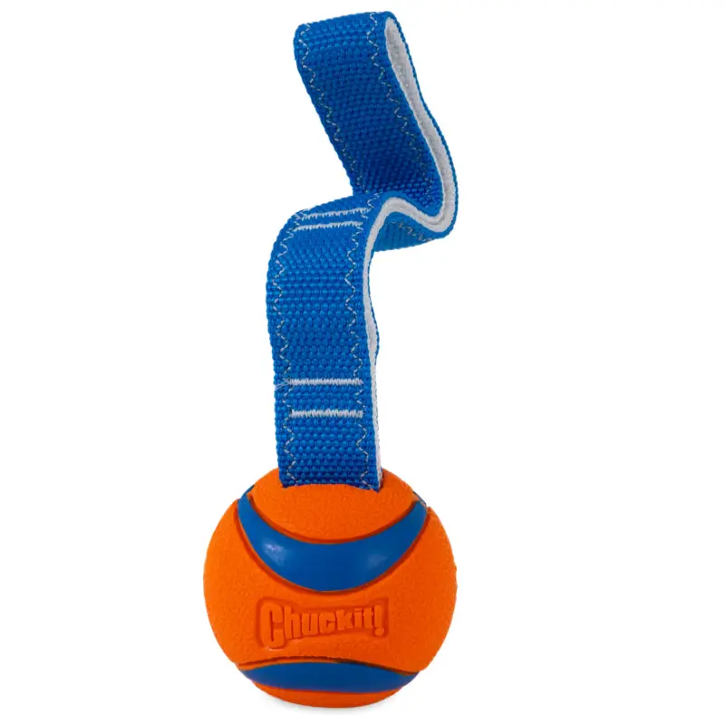 Petmate - Jouet Chuckit! Ultra Tug pour Chiens - Medium Petit Prix