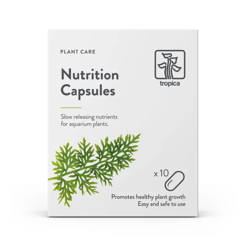 Tropica -Capsules d'Engrais Nutritionnelles pour Poissons - x10 Achat Immédiat