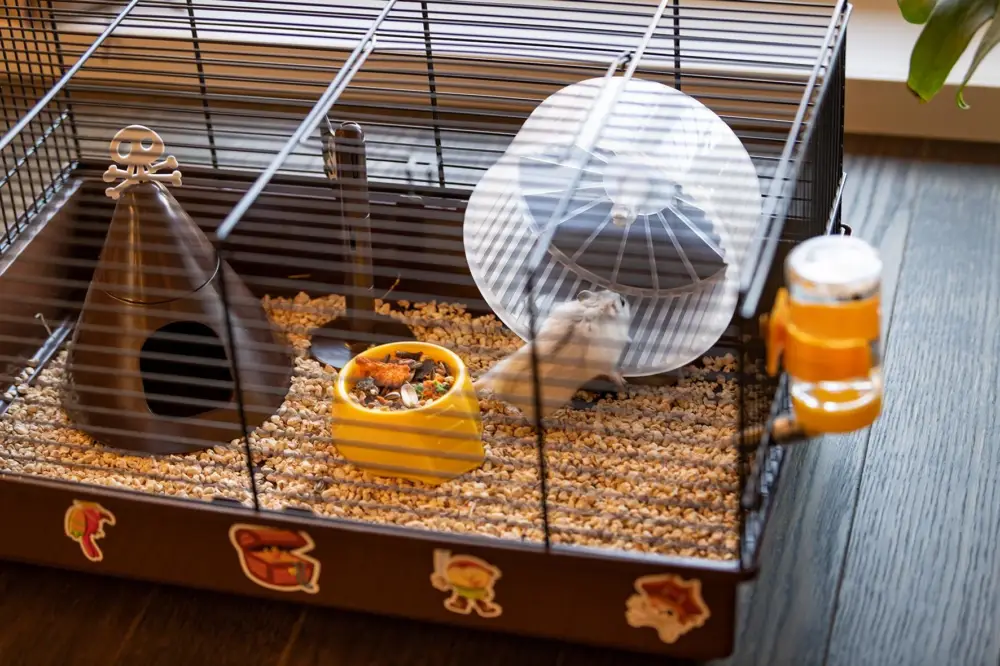 Haute Qualité Ferplast - Cage Criceti 9 Pirates pour Hamsters