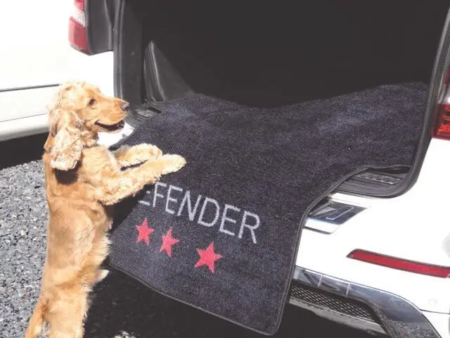 Wouapy - Tapis de Coffre DEFENDER pour Voiture - 155x100cm Offre Du Jour