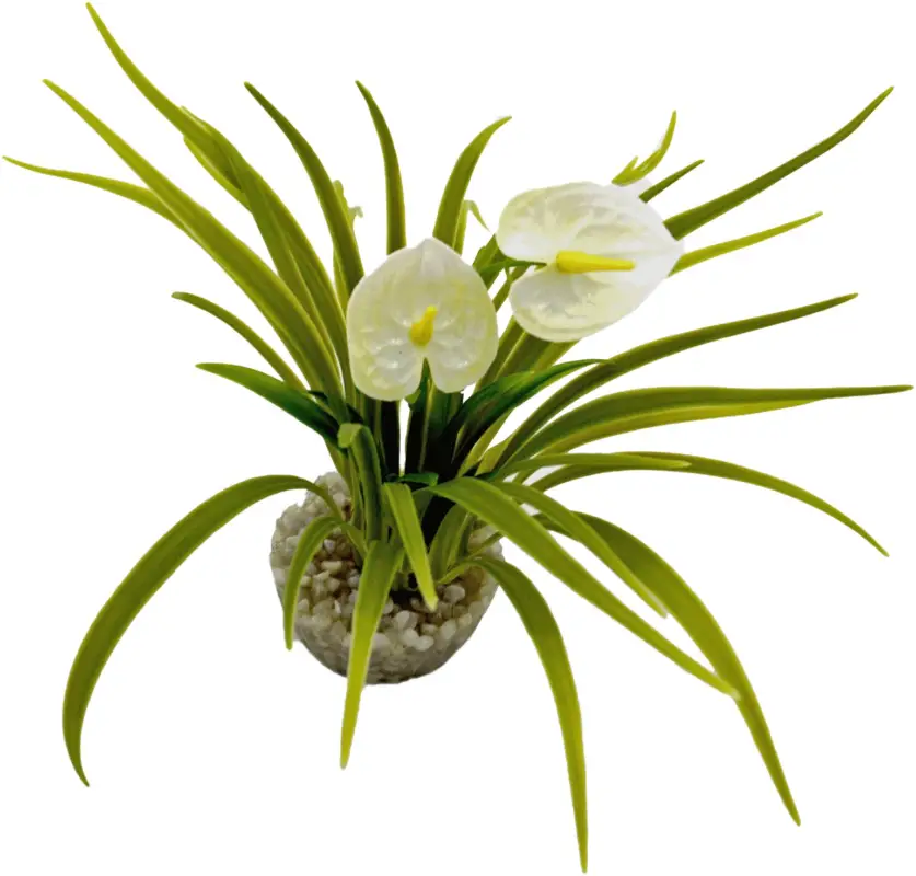 Labeo – Buisson fleur anthurium blanc – Plante Artificielle Aquarium Achat Immédiat