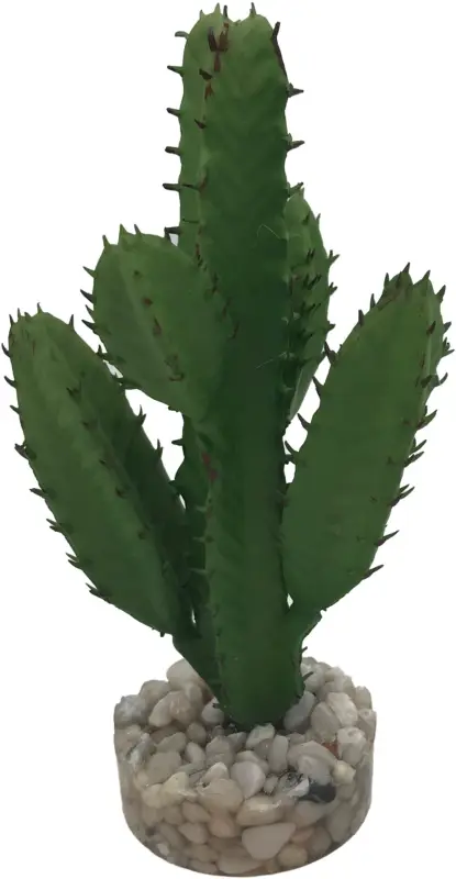 Petit Prix Labeo – Succulente moyen mod&egrave;le Plante Artificielle Aquarium et Terrarium