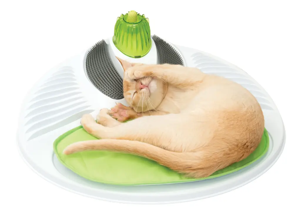 Catit – Station de Massage Senses 2.0 pour Chat Populaire