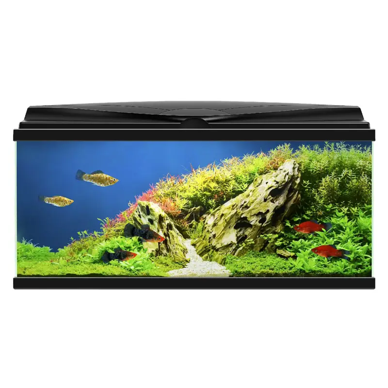 Commande En Gros Ciano – Aquarium 80 LED Noir – 80X30X41,5CM