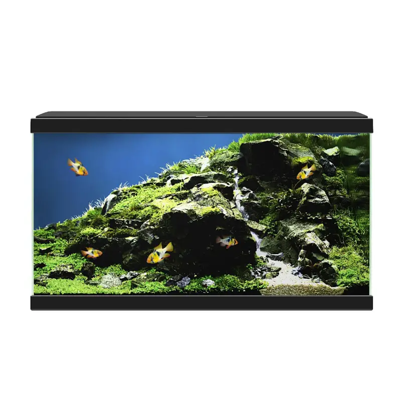 Ciano – Aquarium 60 LED – Noir Offre Limitée