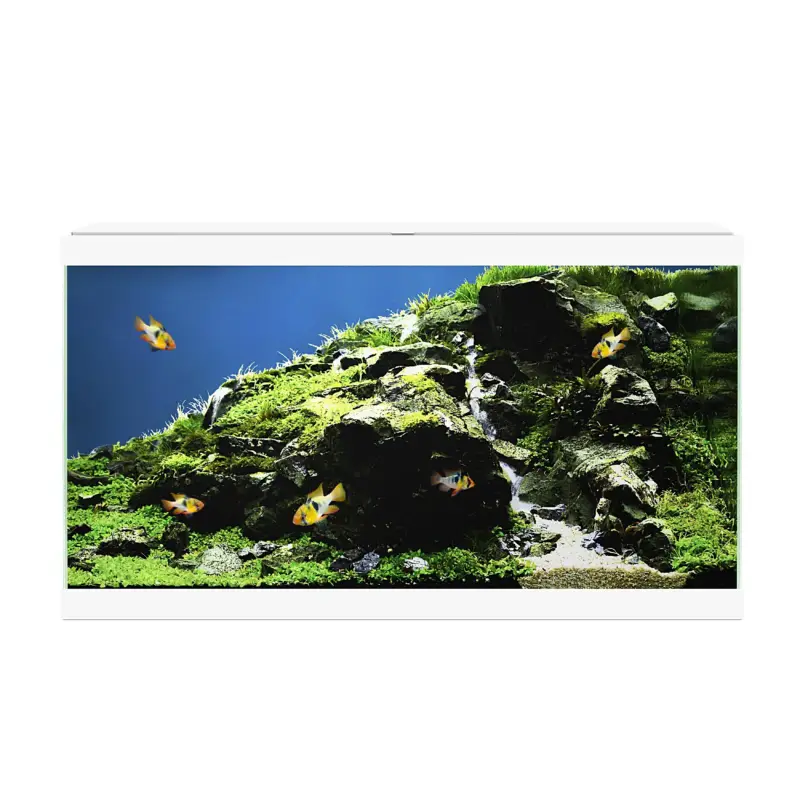 Prix Promo Ciano - Aquarium 60 LED - Blanc - 60X30X33,5CM