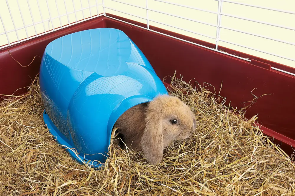 Savic – « Cocoon » Abri pour les Petits Animaux – 34cm Super Prix