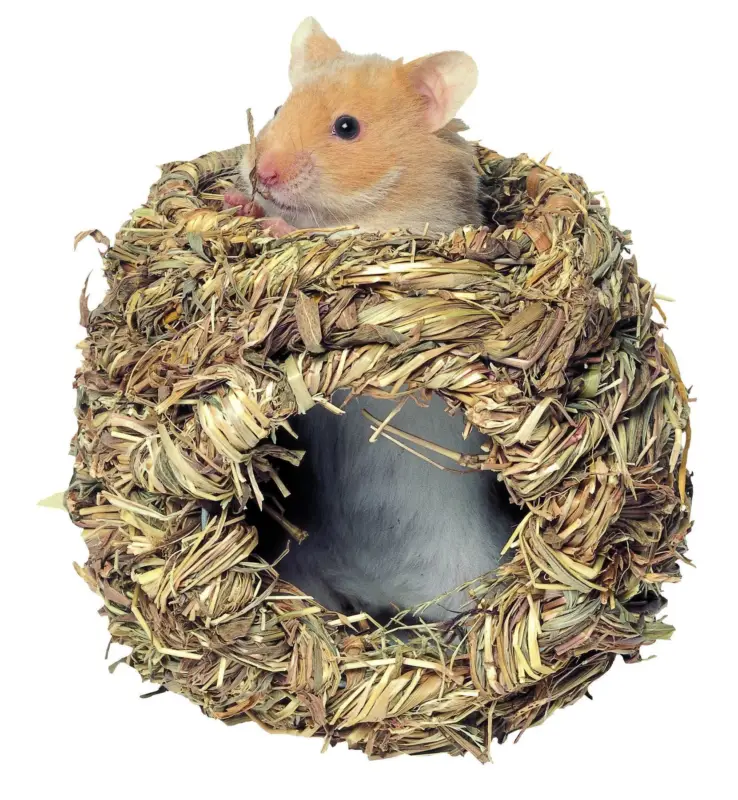 Retour Gratuit Kerbl - Cachette en Herbe pour Hamsters