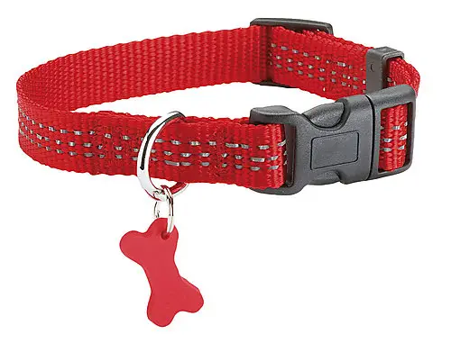 Petit Prix Bobby - Collier Safe Rouge pour Chiens