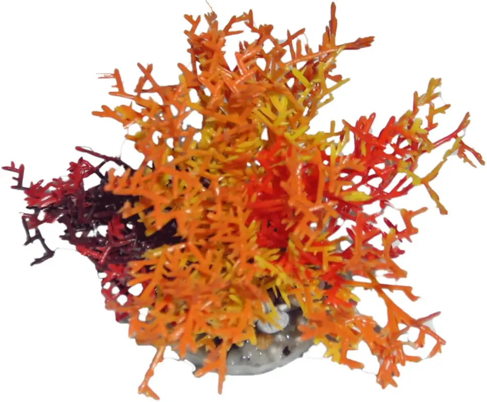 Labeo - Corail coloré - Plante Artificielle Aquarium Offre Du Jour