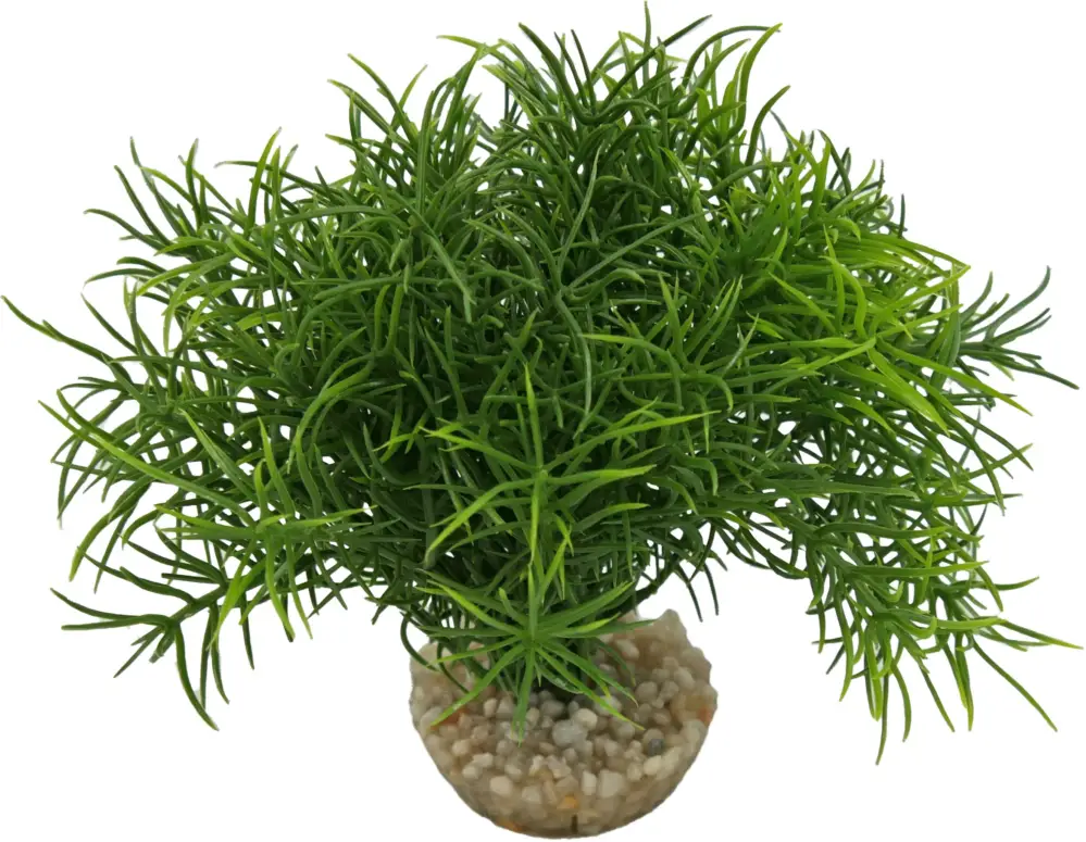 Labeo - Massif sprengeri vert - Plante Artificielle Aquarium Paiement Sécurisé