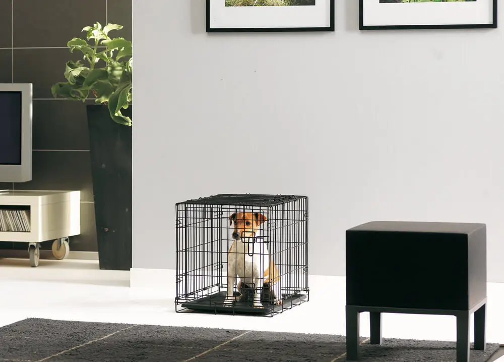 Solde Savic - Cage de Transport Dog Cottage pour Chien - 50cm