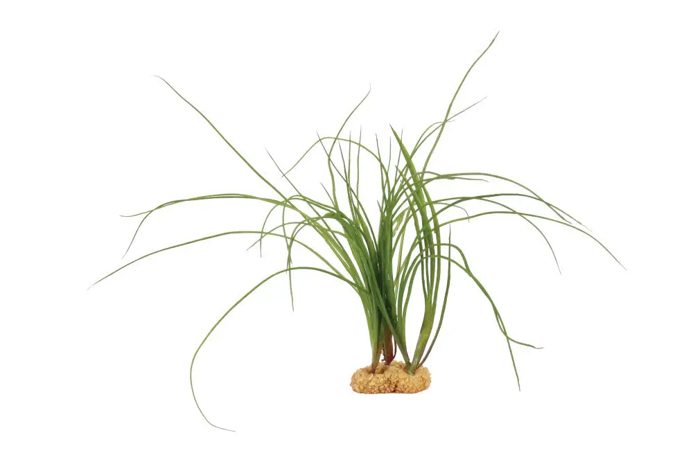Haute Qualité Zolux - Décoration Plante Artificielle Tropicale pour Aquarium - Modèle 3