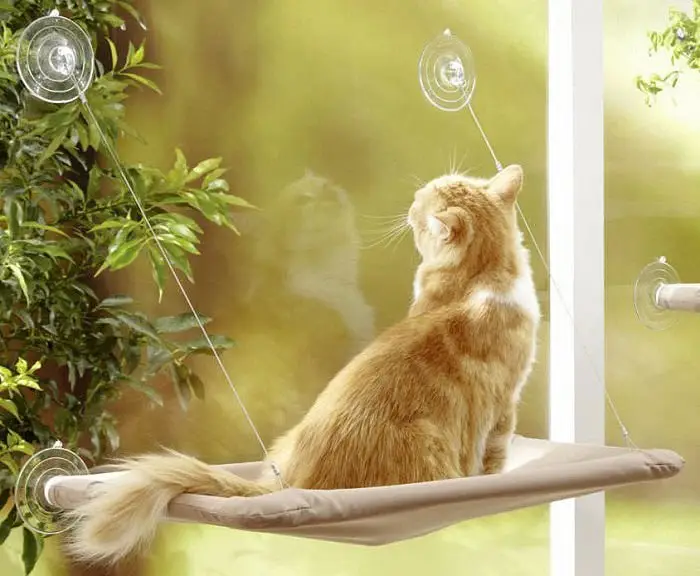 Prix Bas Anka – Hamac de Fen&ecirc;tre pour Chats
