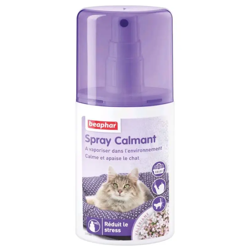 Beaphar – Spray Calmant Anti-stress pour Chat – 125ml Meilleur Choix