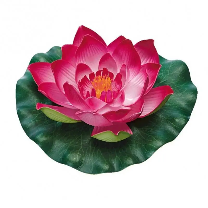 Pontec - Nénuphar PondoLily pour Bassin - Rouge Meilleure Vente