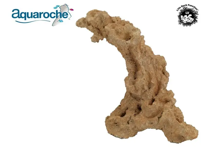 Seulement Aujourd&rsquo;hui Aquaroche – Roche Eau de Mer – Arche48 Cm