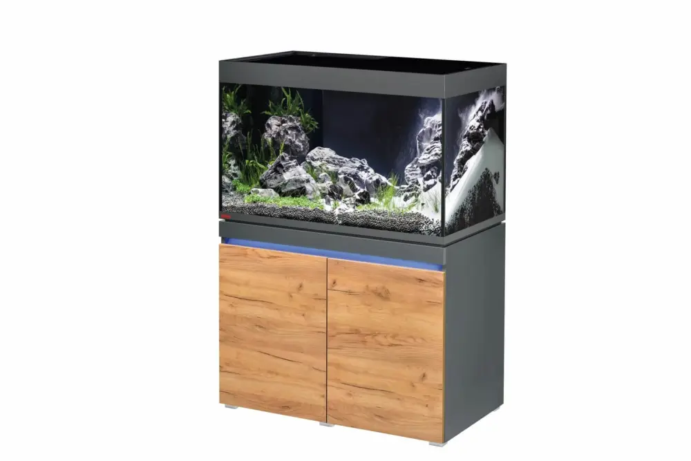 Eheim - Aquarium Incpiria 330L avec Meuble - Graphit Nature Prix Choc