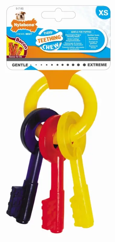 Nylabone - Jouet Clé Puppy Teething Chew pour Chien - XS Réduction