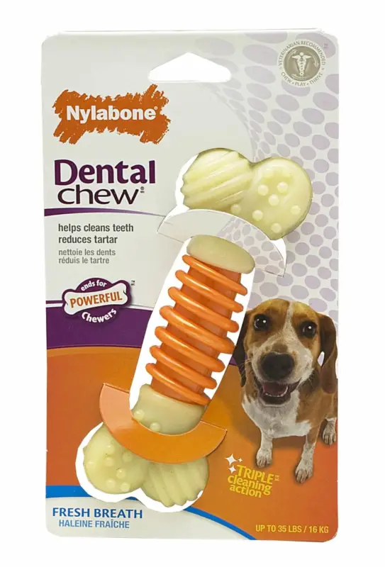Expédition Rapide Nylabone – Jouet Os Dental Chew Pro-Action pour Chien