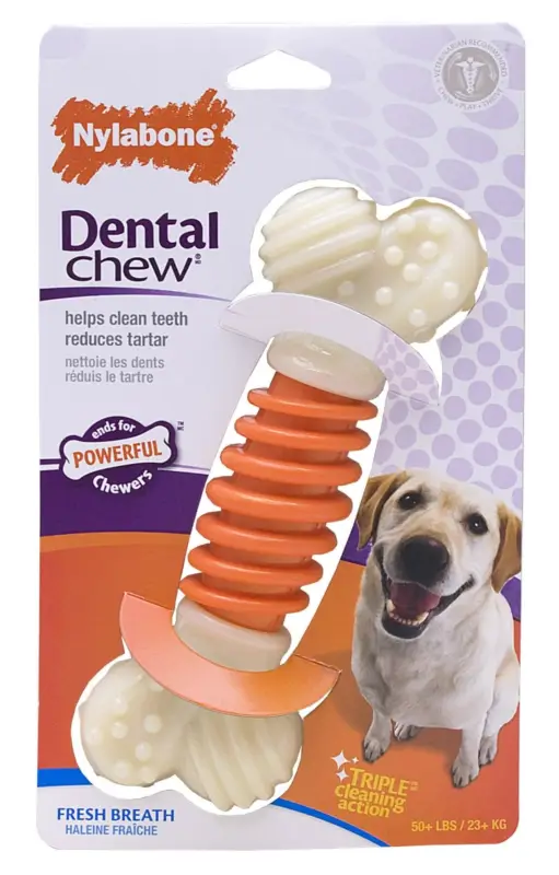 Commander Vite Nylabone – Jouet Os Dental Chew Pro-Action pour Chien