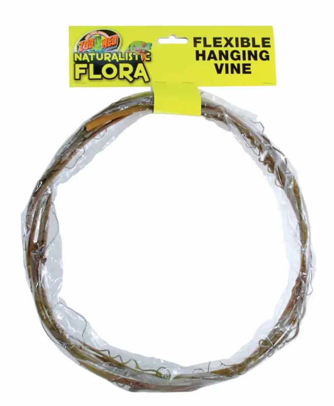 Zoomed – Plante Flexible Vine pour Terrarium Prix Promo