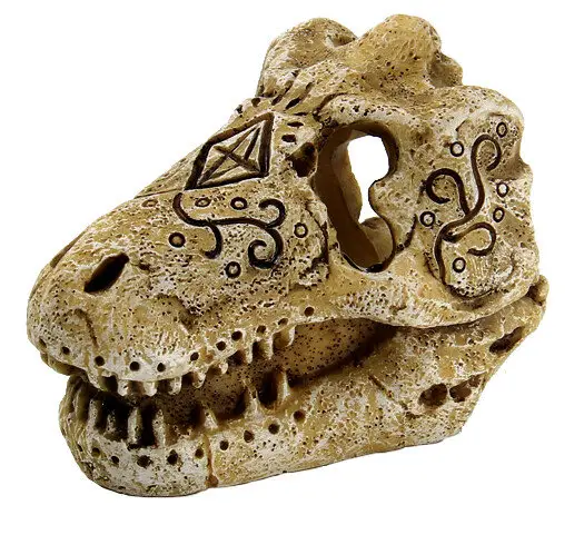 Super Prix Superfish - Décoration Préhistorique SKULL T REX pour Aquarium - S