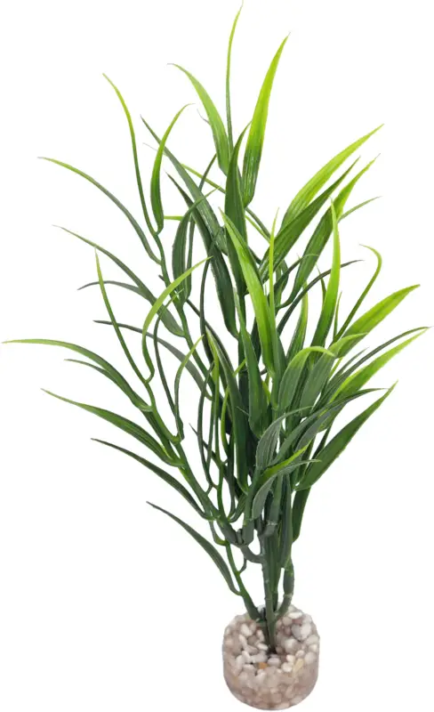 Réduction Labeo - Herbe bambou - Plante Artificielle Aquarium