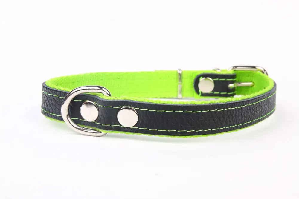 Commande En Gros Yogipet – Collier Cuir et Nylon pour Chien Vert