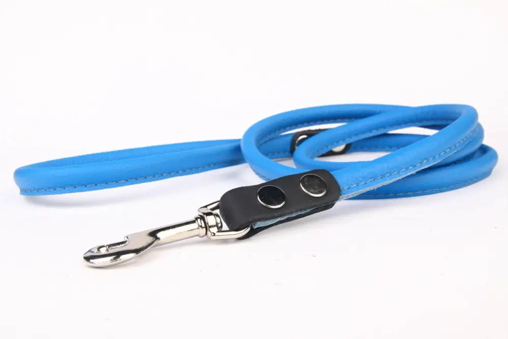 Nouvelle Collection Yogipet – Laisse en Cuir Bleu pour Chien – 120cm