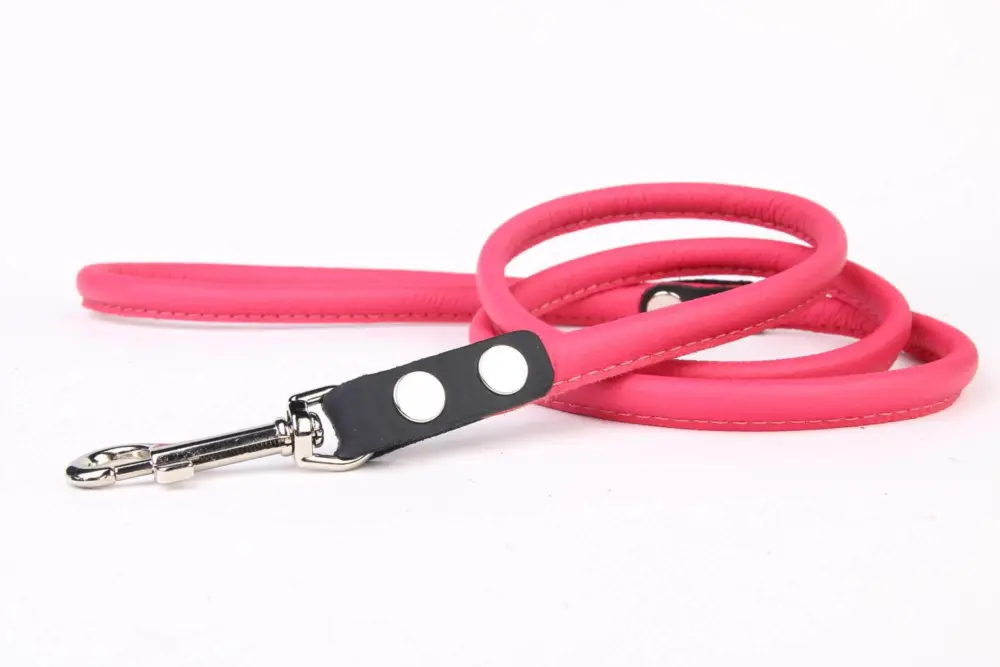Yogipet - Laisse en Cuir Rose pour Chien - 120cm Petit Prix
