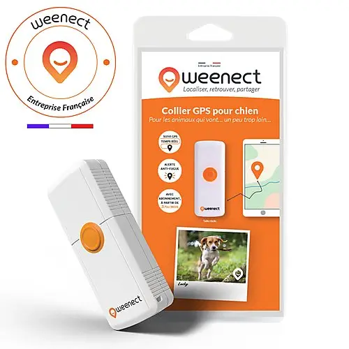 Produit De Marque Weenect Dogs 2 – Collier GPS Connect&eacute; pour Chien