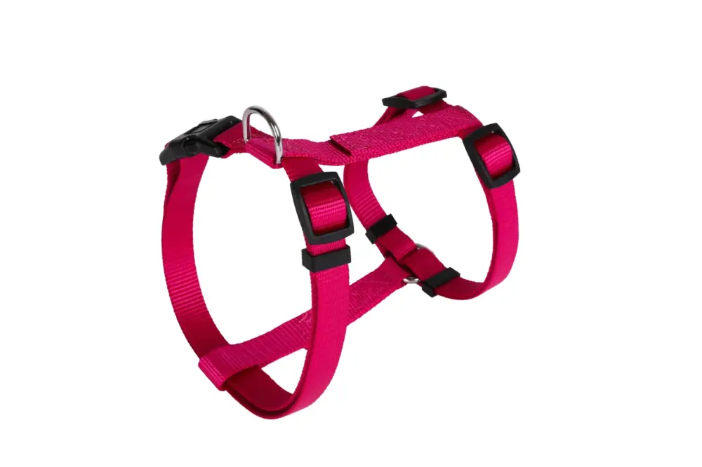 Animalis – Harnais Basic pour Chien – Fuchsia Prix Choc