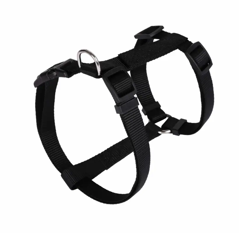 Animalis - Harnais Basic pour Chien - Noir Nouveauté