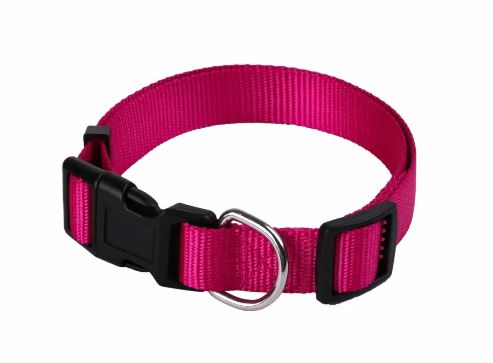 Animalis – Collier Basic pour Chien Fuchsia Prix Choc